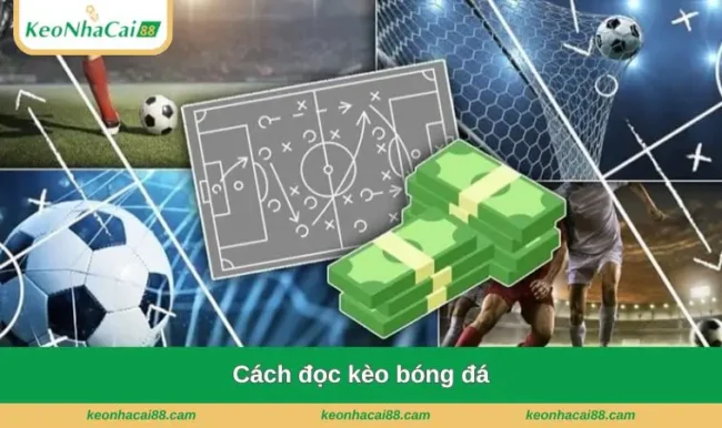 cách đọc kèo bóng đá