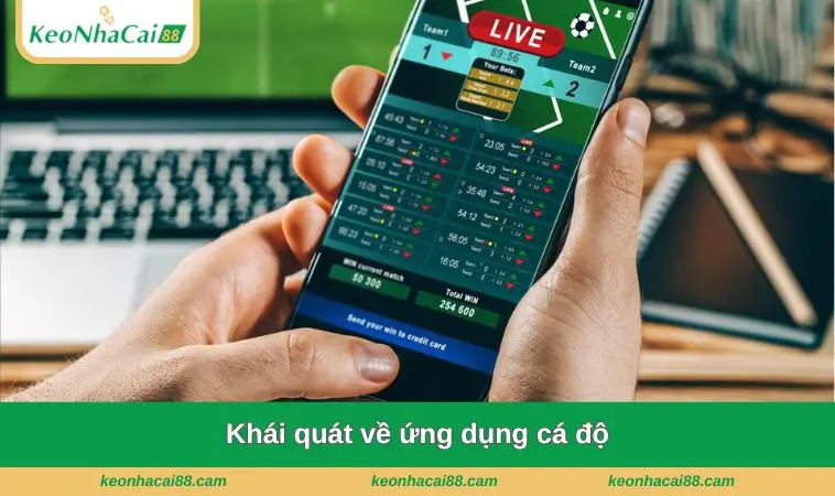 khai quat ve ung dung ca do Khái quát về ứng dụng cá độ