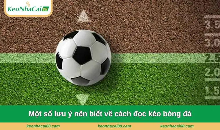 mot so luu y nen biet ve cach doc keo bong da Một số lưu ý nên biết về cách đọc kèo bóng đá