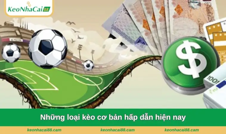 nhung loai keo co ban hap dan hien nay Những loại kèo cơ bản hấp dẫn hiện nay