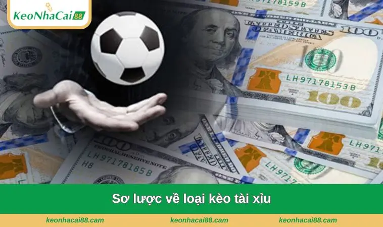 so luoc ve loai keo tai Sơ lược về loại kèo tài xỉu