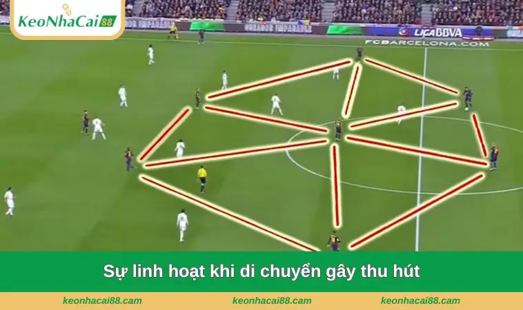 su linh hoat khi di chuyen gay thu hut Sự linh hoạt khi di chuyển gây thu hút