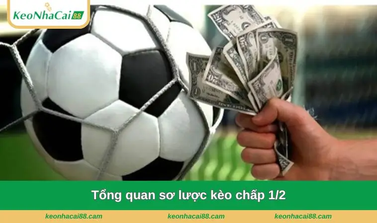 tong quan so luoc keo chap 1 2 Tổng quan sơ lược kèo chấp 1/2