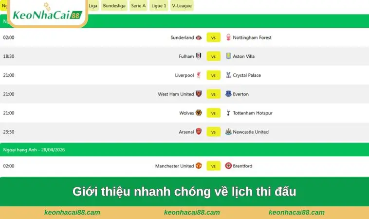 Giới thiệu nhanh chóng về lịch thi đấu