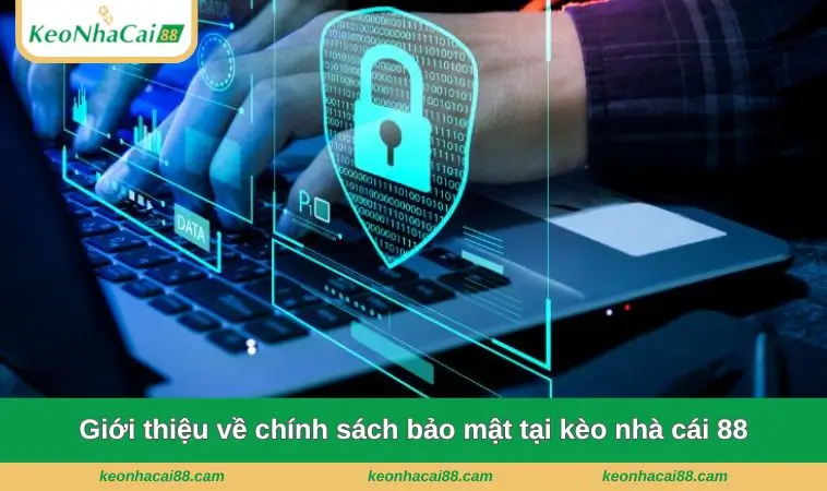 gioi thieu ve chinh sach bao mat keo nha cai 88 Giới thiệu về chính sách bảo mật tại kèo nhà cái 88