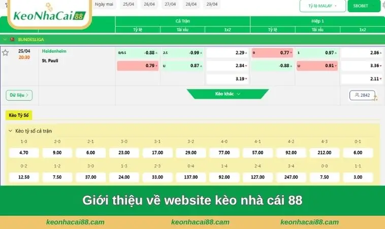gioi thieu ve website keo nha cai Giới thiệu về website kèo nhà cái 88
