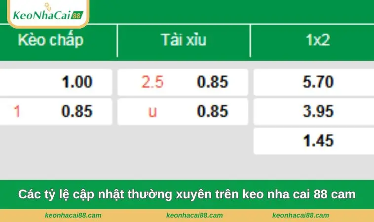 cac ty le cap nhat thuong xuyen tren keo nha cai 88 cam Các tỷ lệ cập nhật thường xuyên trên keo nha cai 88 cam