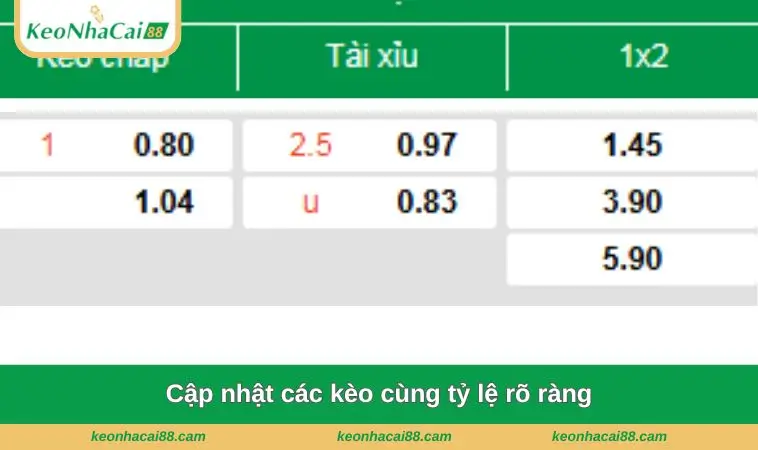cap nhat cac keo cung ty le ro rang Cập nhật các kèo cùng tỷ lệ rõ ràng