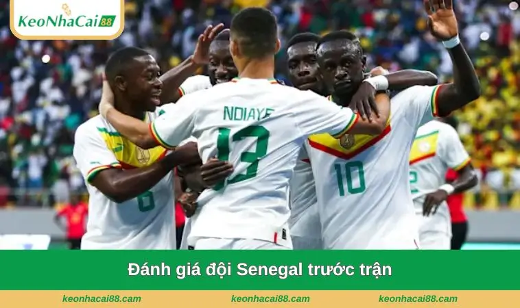 danh gia doi senegal truoc tran Đánh giá đội Senegal trước trận