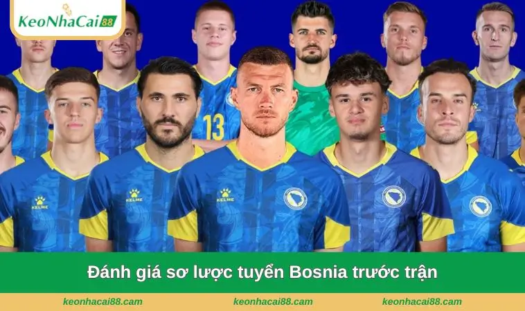 danh gia so luoc tuyen bosnia truoc tran Đánh giá sơ lược tuyển Bosnia trước trận