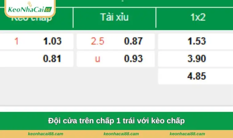 doi cua tren chap 1 trai voi keo chap Đội cửa trên chấp 1 trái với kèo chấp
