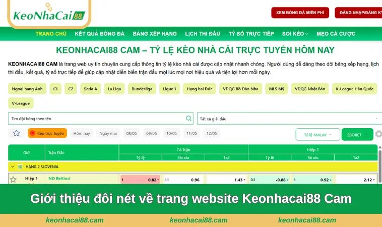 gioi thieu doi net ve trang keonhacai88 cam Giới thiệu đôi nét về trang website Keonhacai88 Cam