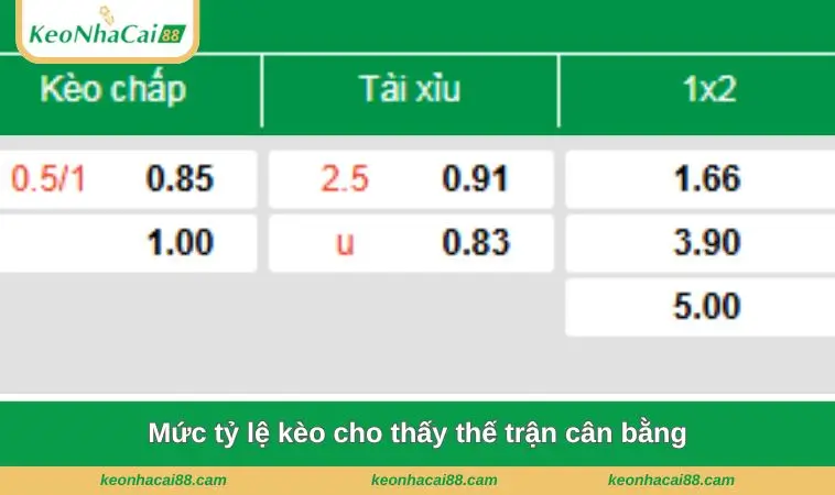 muc ty le keo cho thay the tran can bang Mức tỷ lệ kèo cho thấy thế trận cân bằng
