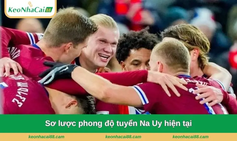 so luoc phong do tuyen na uy hien tai Sơ lược phong độ tuyển Na Uy hiện tại