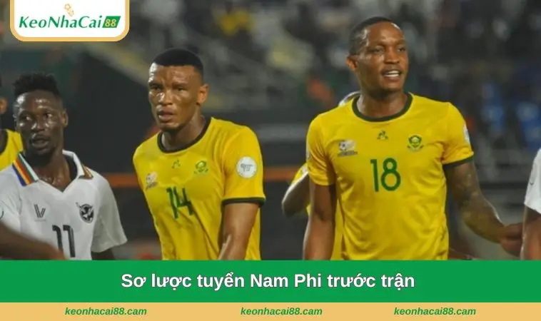 so luoc tuyen nam phi truoc tran Sơ lược tuyển Nam Phi trước trận