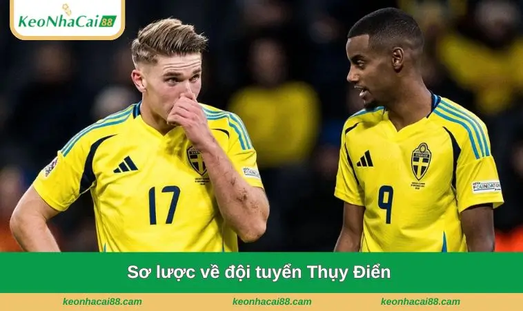 so luoc ve doi tuyen thuy dien Dự đoán: Thụy Điển 1-0 Tunisia