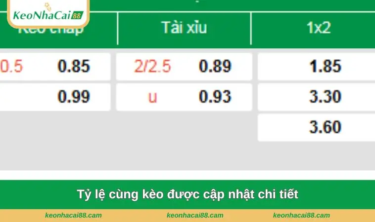 ty le cung keo duoc cap nhat chi tiet Tỷ lệ cùng kèo được cập nhật chi tiết